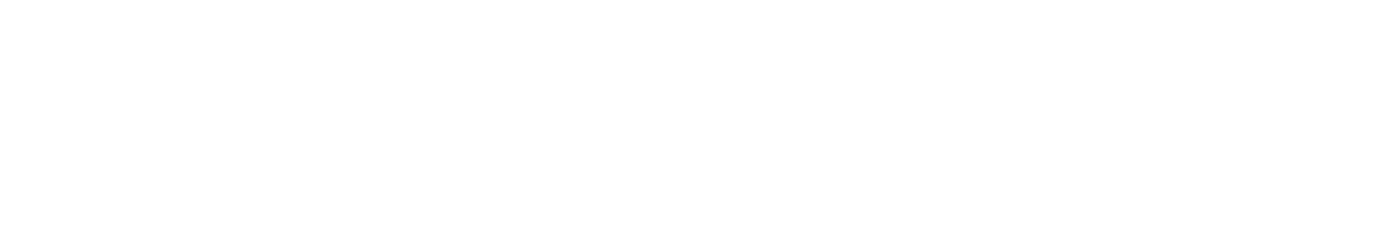 Tiggo